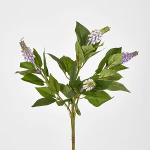 Allium Bush by Florabelle Living, a Plants for sale on Style Sourcebook