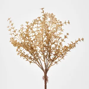 Wild Ruscus Bush by Florabelle Living, a Plants for sale on Style Sourcebook