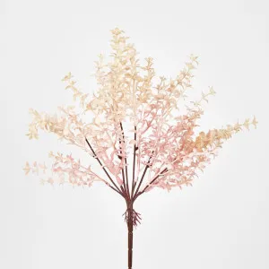 Wild Ruscus Bush by Florabelle Living, a Plants for sale on Style Sourcebook