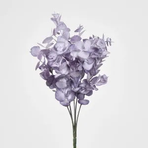Eucalyptus Bush by Florabelle Living, a Plants for sale on Style Sourcebook