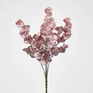 Eucalyptus Bush by Florabelle Living, a Plants for sale on Style Sourcebook