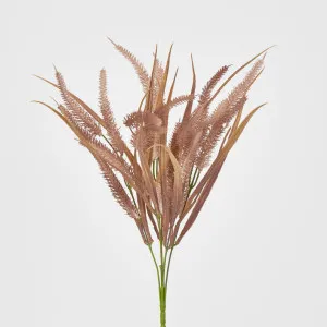 Pampas Bush by Florabelle Living, a Plants for sale on Style Sourcebook