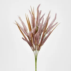 Pampas Bush by Florabelle Living, a Plants for sale on Style Sourcebook