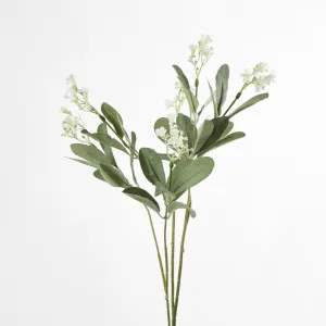 Wild Gyp Bush by Florabelle Living, a Plants for sale on Style Sourcebook