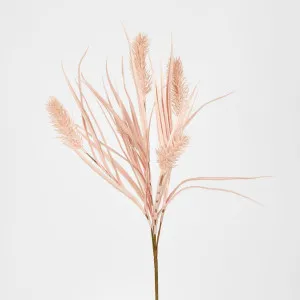 Banksia Bush by Florabelle Living, a Plants for sale on Style Sourcebook