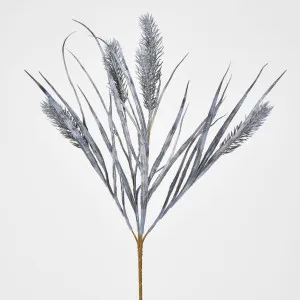 Banksia Bush by Florabelle Living, a Plants for sale on Style Sourcebook