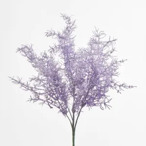 Coral Bush by Florabelle Living, a Plants for sale on Style Sourcebook