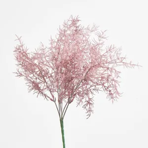 Coral Bush by Florabelle Living, a Plants for sale on Style Sourcebook