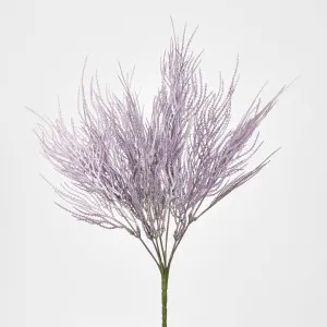 Pampas Bush by Florabelle Living, a Plants for sale on Style Sourcebook