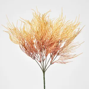 Pampas Bush by Florabelle Living, a Plants for sale on Style Sourcebook