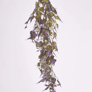 Hanging variagated grape leaf Greenery by Florabelle Living, a Plants for sale on Style Sourcebook