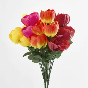 Peony Bush Sold in Box Qty Only by Florabelle Living, a Plants for sale on Style Sourcebook