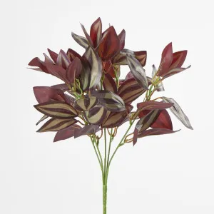 Purple Wandering Dew Bush by Florabelle Living, a Plants for sale on Style Sourcebook