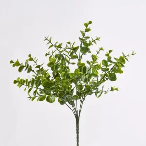 Eucalyptus Bush Green by Florabelle Living, a Plants for sale on Style Sourcebook