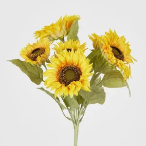 Yellow Sunflower Bush with 5 Flowers by Florabelle Living, a Plants for sale on Style Sourcebook