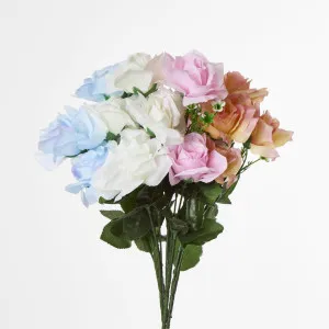 Rose Bush Sold in Box Qty Only by Florabelle Living, a Plants for sale on Style Sourcebook