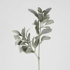 Olive green Flocked Lambs Ear Leaf Spray by Florabelle Living, a Plants for sale on Style Sourcebook