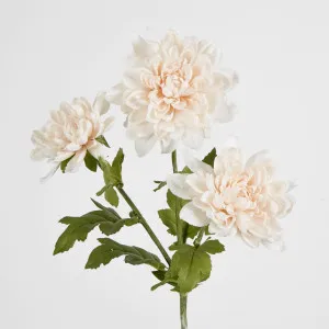 Blush Pink Chrysanthemum Spray x 3 by Florabelle Living, a Plants for sale on Style Sourcebook