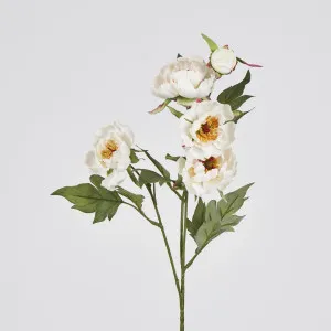 Peony Spray 64CM White by Florabelle Living, a Plants for sale on Style Sourcebook