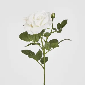 Colin Rose Set of Two 64CM White by Florabelle Living, a Plants for sale on Style Sourcebook