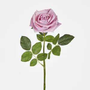 Walter Real Touch Rose Stem Lavender
 61cm by Florabelle Living, a Plants for sale on Style Sourcebook