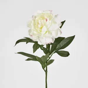 Single Peony with 4 Leaves White Pink 66CM by Florabelle Living, a Plants for sale on Style Sourcebook