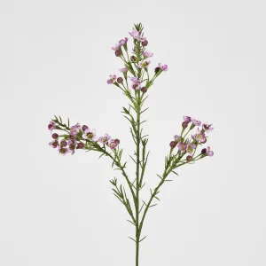 Wax Flower Lilac 64CM by Florabelle Living, a Plants for sale on Style Sourcebook