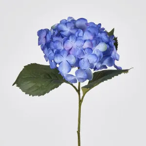 Single Hydrangea with 2 Leaves Blue 62CM by Florabelle Living, a Plants for sale on Style Sourcebook