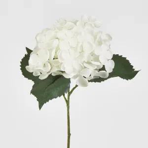 Single Hydrangea with 2 Leaves White 62CM by Florabelle Living, a Plants for sale on Style Sourcebook