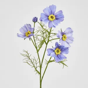 Cosmos Spray 64CM Lavender by Florabelle Living, a Plants for sale on Style Sourcebook