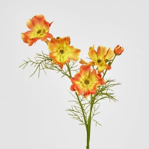 Cosmos Spray 64CM Orange by Florabelle Living, a Plants for sale on Style Sourcebook