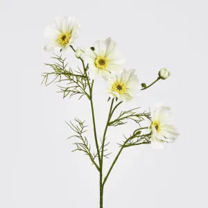 Cosmos Spray 64CM White by Florabelle Living, a Plants for sale on Style Sourcebook
