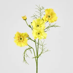 Cosmos Spray 64CM Yellow by Florabelle Living, a Plants for sale on Style Sourcebook