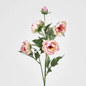 Peony Spray 64CM Pink by Florabelle Living, a Plants for sale on Style Sourcebook