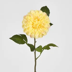 Single Ball Dahlia 74CM Yellow by Florabelle Living, a Plants for sale on Style Sourcebook