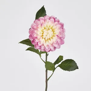 Single Ball Dahlia 74CM Yellow Pink by Florabelle Living, a Plants for sale on Style Sourcebook