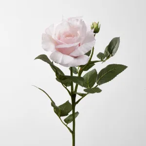 Colin Rose Set of Two 64CM Pink by Florabelle Living, a Plants for sale on Style Sourcebook