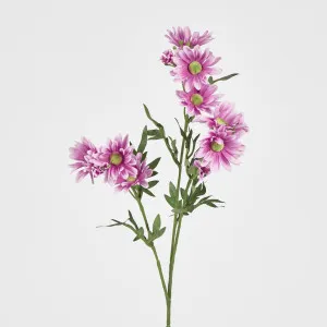 Daisy Spray 74CM Two Tone Pink by Florabelle Living, a Plants for sale on Style Sourcebook