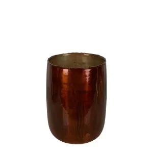 Dannika Glass Vase Amber Large by Florabelle Living, a Vases & Jars for sale on Style Sourcebook