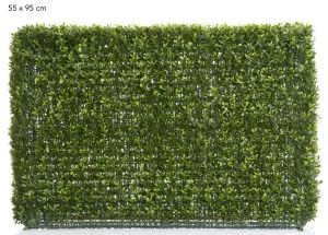 Boxwood Hedge 55x95cm by Florabelle Living, a Plants for sale on Style Sourcebook
