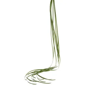 Grass Garland 1.2m Green by Florabelle Living, a Christmas for sale on Style Sourcebook