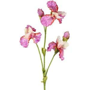 Iris Spray 102cm Lavender/Cream by Florabelle Living, a Plants for sale on Style Sourcebook