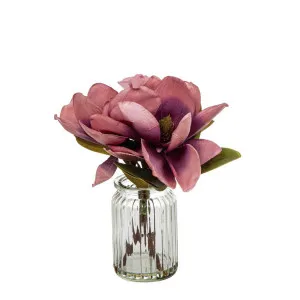 Magnolia in Glass Vase 30cm Plum by Florabelle Living, a Plants for sale on Style Sourcebook