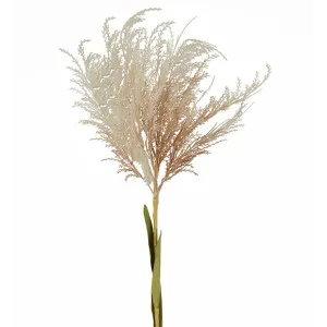 Natural Pampas Spray Stem with Leaves by Florabelle Living, a Plants for sale on Style Sourcebook