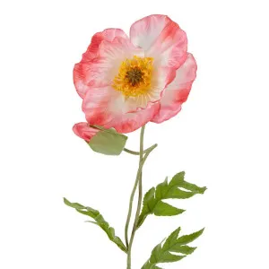 Poppy Stem 68cm Pink by Florabelle Living, a Plants for sale on Style Sourcebook