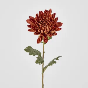 Mum Stem Brown 69cm by Florabelle Living, a Plants for sale on Style Sourcebook