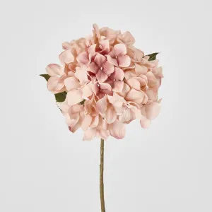 Single Hydrangea Stem White Pink 69cm by Florabelle Living, a Plants for sale on Style Sourcebook