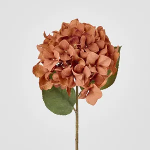 Single Hydrangea Stem Brown 69cm by Florabelle Living, a Plants for sale on Style Sourcebook