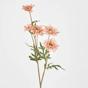 Daisy Spray White Pink 75cm by Florabelle Living, a Plants for sale on Style Sourcebook