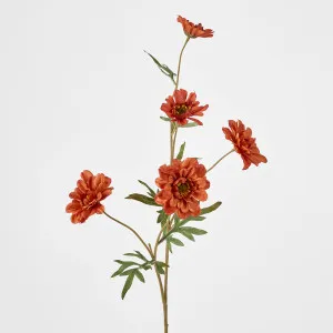 Daisy Spray Brown 75cm by Florabelle Living, a Plants for sale on Style Sourcebook
